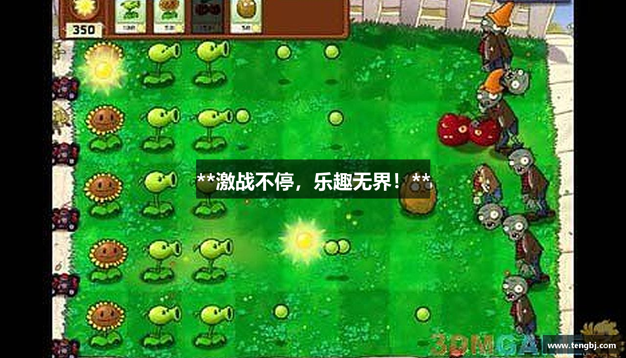 **激战不停，乐趣无界！**